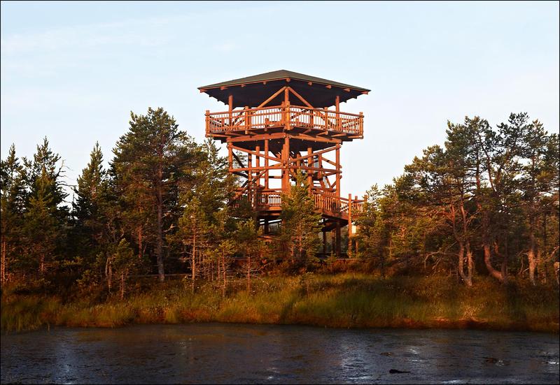 Viru bog observation tower