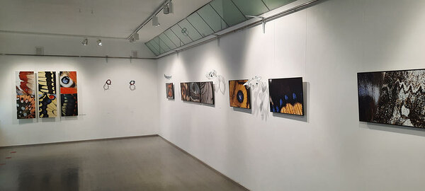 Fred Jüssi ja Kalli Seina näitus EHE ELU EHE Kärdla Kultuurikeskuse galeriiruumis veebruar 2021