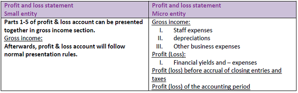 Profit and loss statement small and micro entry