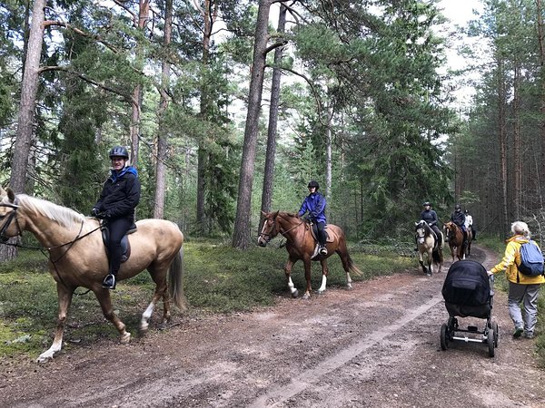 Muinastulede öö seiklusrännak Vainupeal 2017 / foto: Kadi Ummik