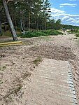 Suureliiva ranna uue laudtee ehitamine 2023 / pilt: Kadi Ummik