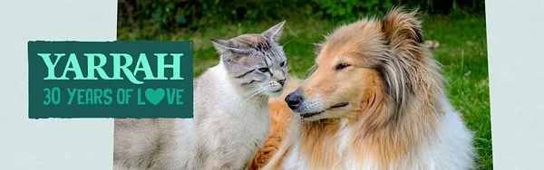 Yarrah on ökoloogilise lemmikloomatoidu pioneer Euroopas