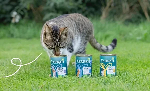 Biomarketis leiad laia valiku Yarrah kassitoitu...