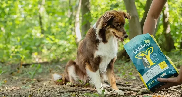 ...ja ka laia valiku Yarrah koeratoitu