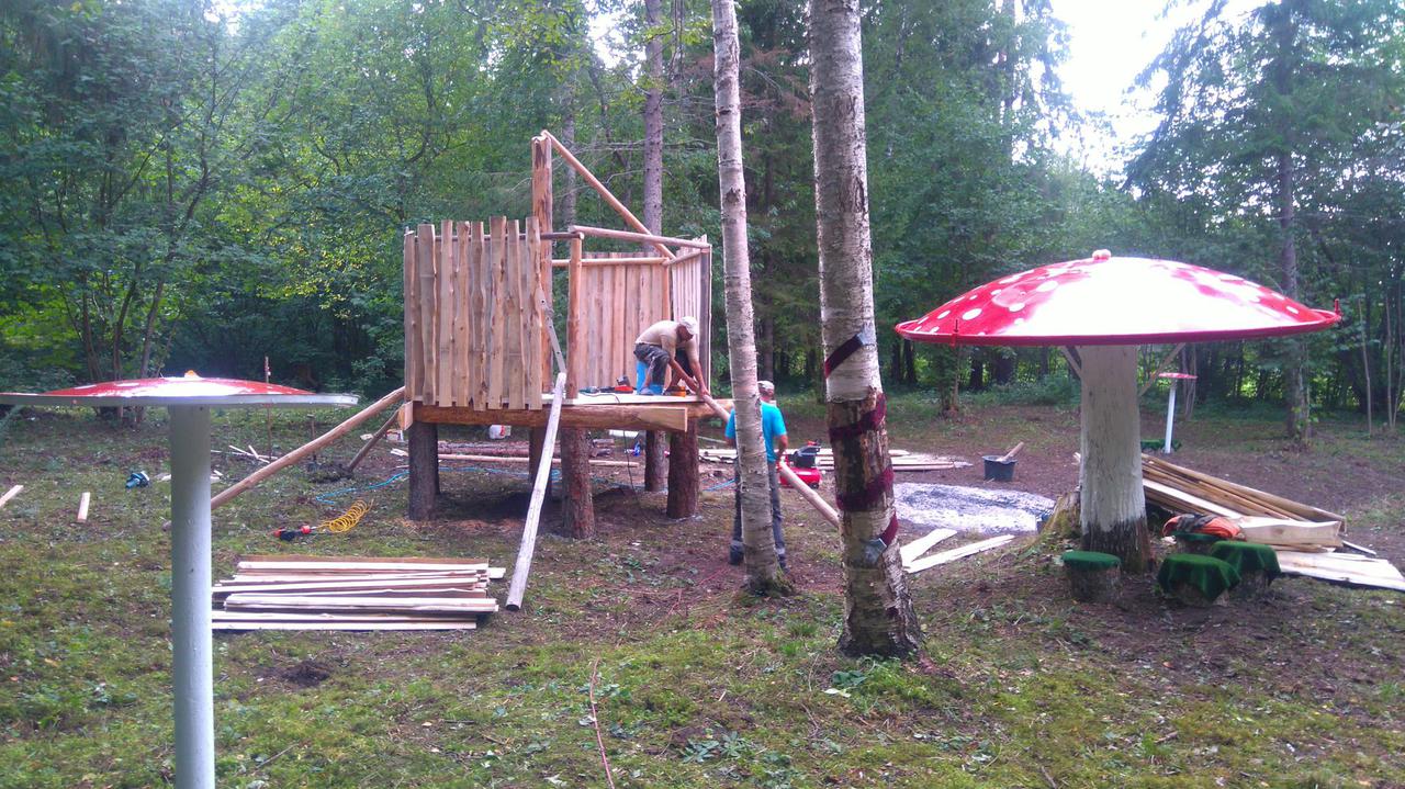 Majaehitus Roela moodi