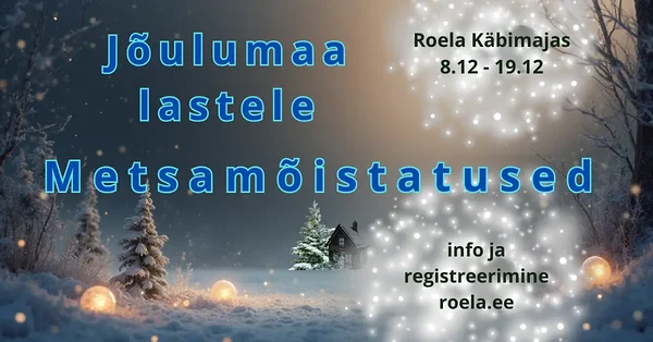 Metsamõistatused