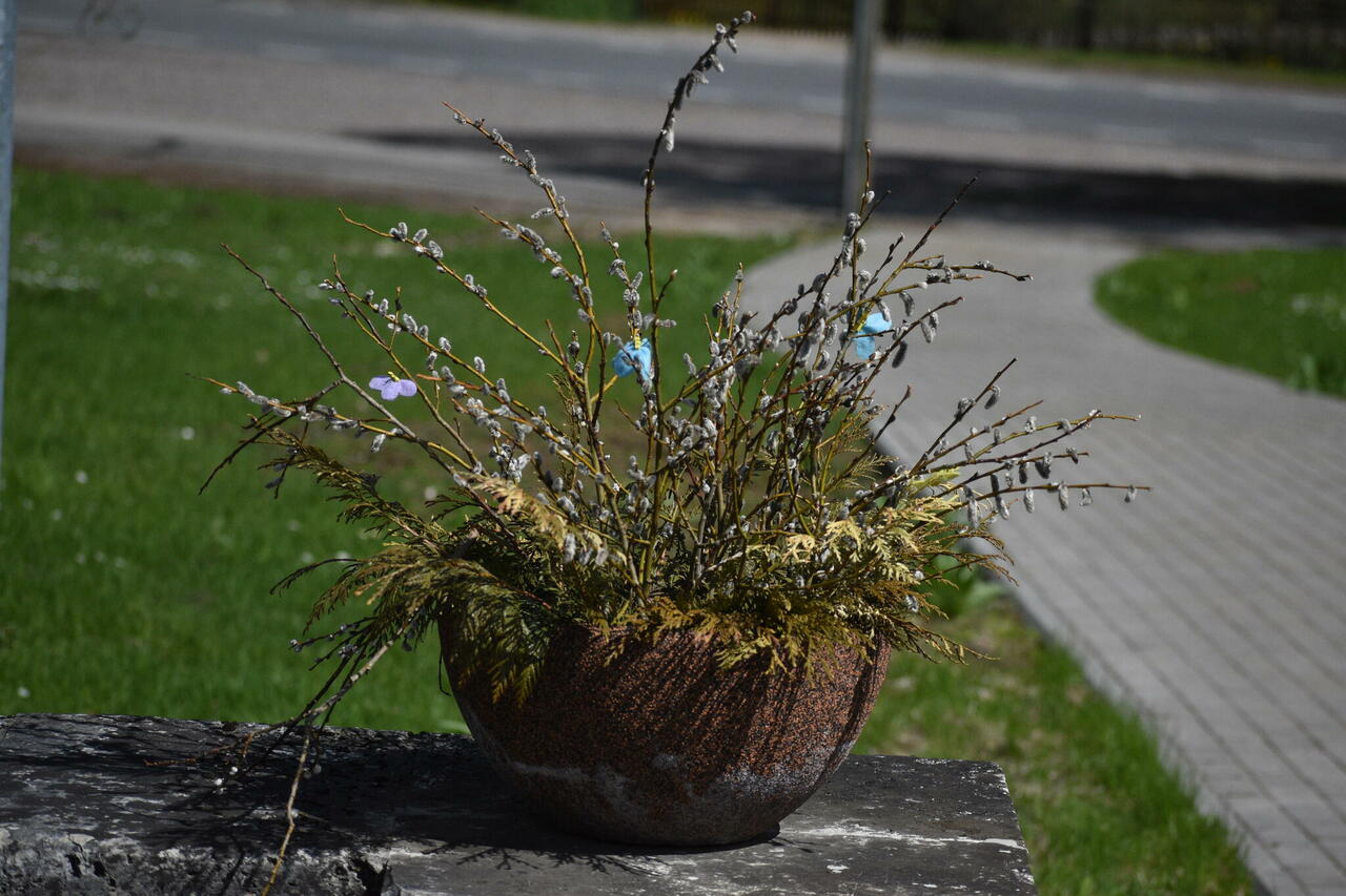 Kevadlaat 15.05.2022