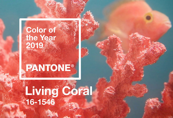pantone color of the year 2019 living coral block
