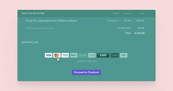 Cursor pointing to MasterCard in checkout view
