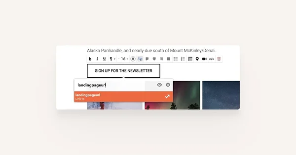 Entering the landing page URL of the button.
