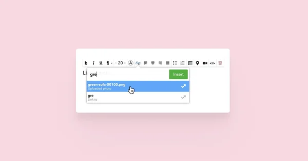 Cursor pointing at the photo inserting option.