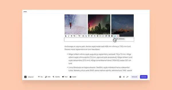 Tekstiredaktoris HTML-lähtekoodi tööriista nupule vajutamine