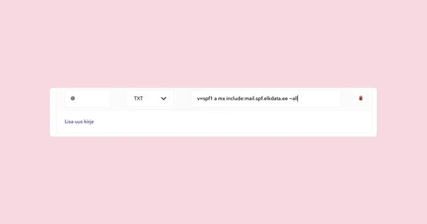 SPF kirje DNS seadete menüüs.