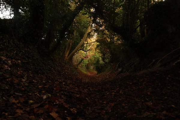 Üks mitmesaja aastane "sunken lane" või ka "hollow way". Selliseid endisaegseid vankri- ja hobuteid võib leida paljudes UK maakohtades. Kariloomade, hobuste ja inimeste poolt põllu ja metsaservadesse sajanditepikkuse kasutuse ja erosiooni toel kujunenud teed on Suurbritannias oluliste maastikuelementidena riikliku kaitse all.  