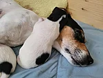 4-päevased beebid emmega