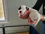 Ruby