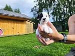 Ruby