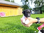 Välk