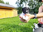 Välk