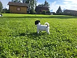 Välk