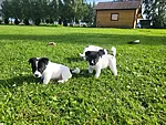Romeo ja Välk