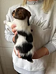 teine tüdruk