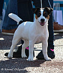 JRT speciality show 31.05.15, baby class