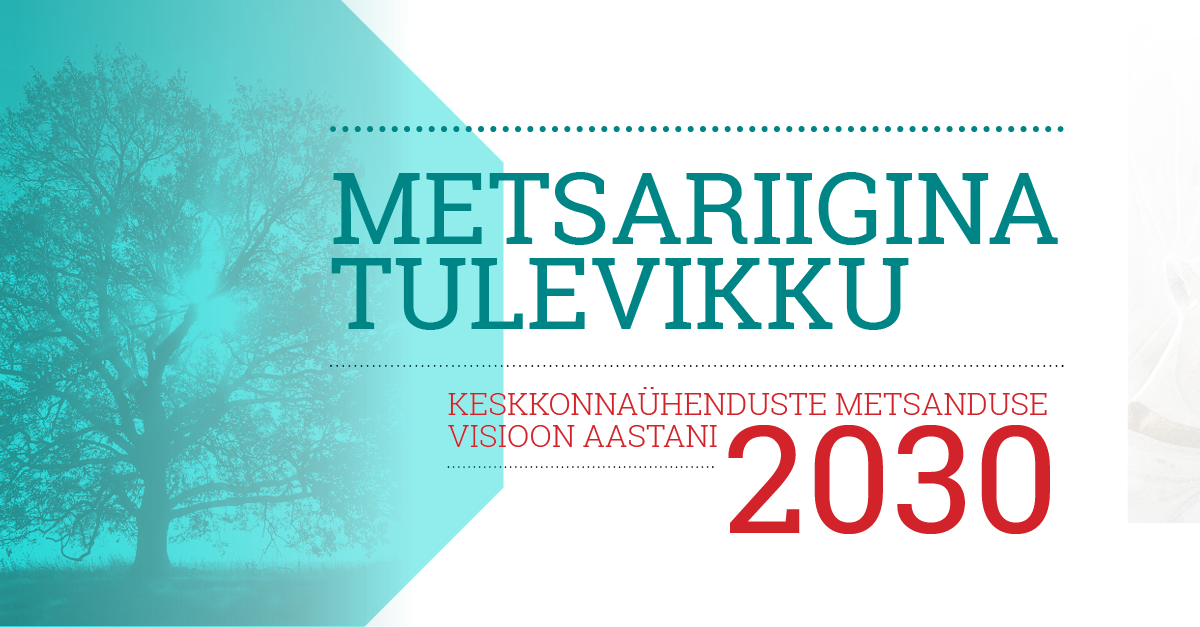  11 keskkonnaühendust avalikustasid nägemuse Eesti metsanduse tulevikust