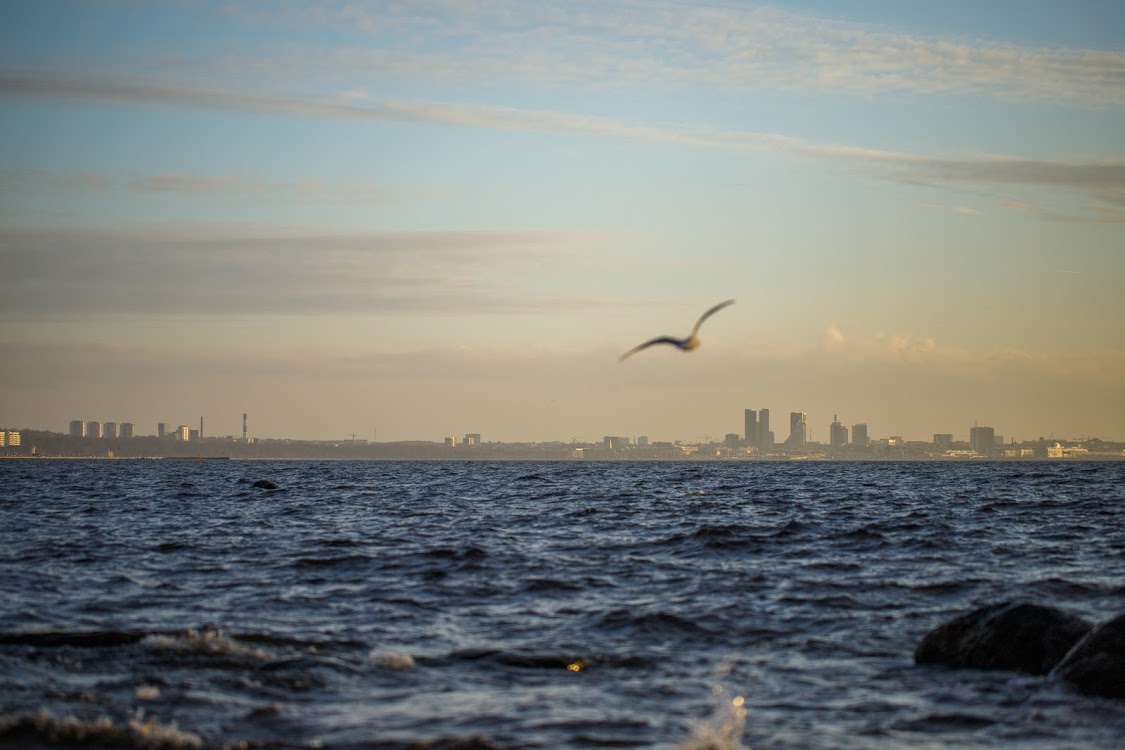 Läänemere kalandus vajab teaduspõhiseid poliitilisi otsuseid