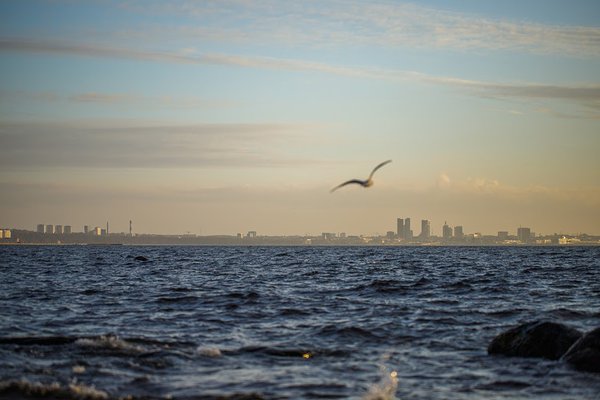 Vaade Läänemerele. Foto: Katre Liiv