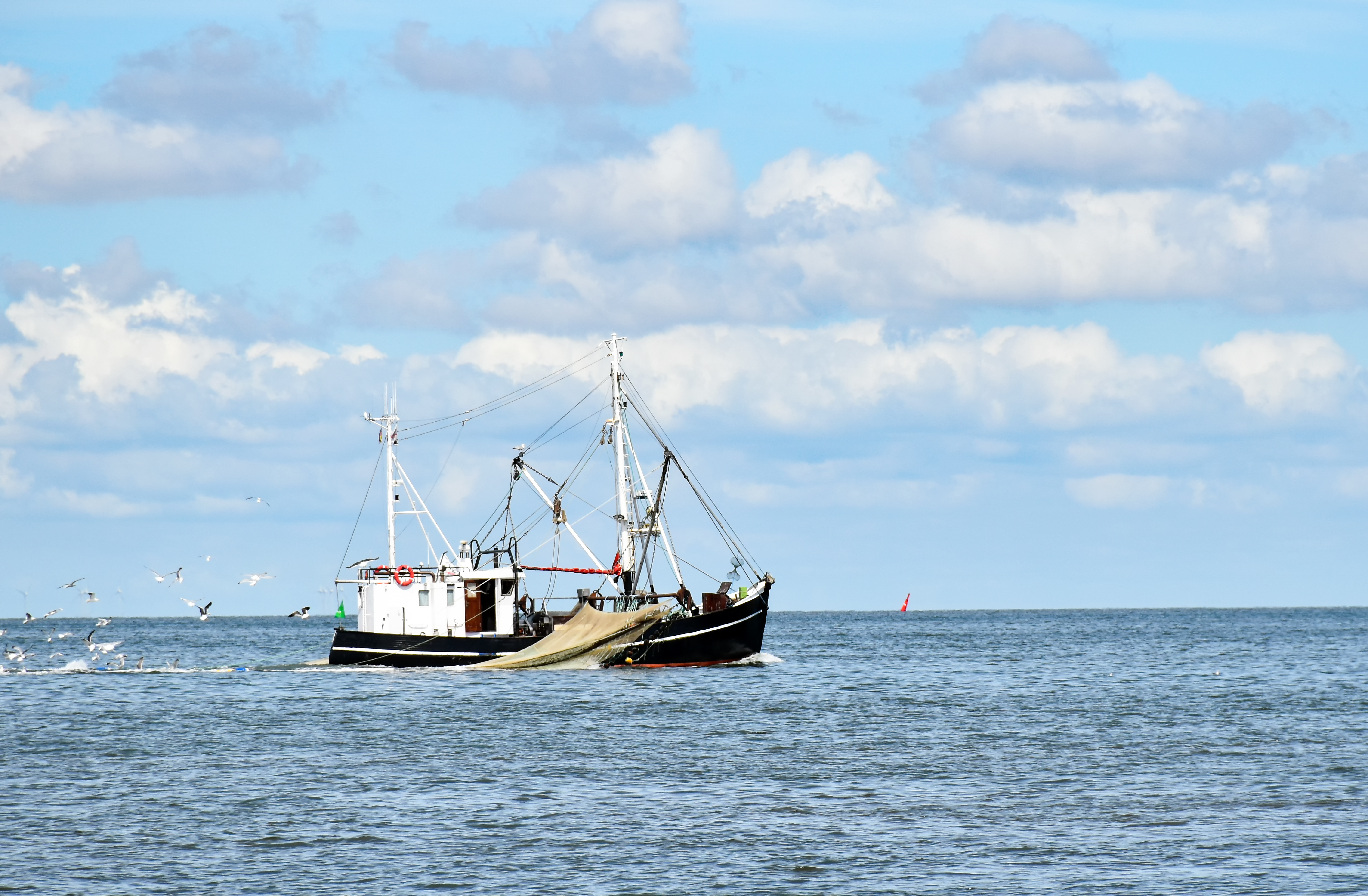 Osa Läänemere kalapopulatsioone on endiselt väga ohustatud