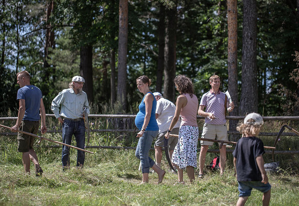 Heinapäev ja niitmistreening 2020 Värskas. Foto: Katre Liiv