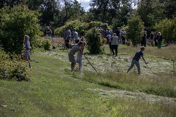 Vikatiga niitmise treening Tallinna Botaanikaaias, august 2020. Foto: Katre Liiv