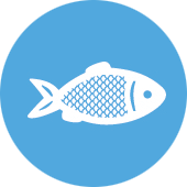 Täna avalikustatakse 2020. aasta Kalafoori hinnangud 