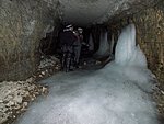 Nahkhiirte loendus jäätunud tunnelis Humalas.  Autor: Lauri Lutsar