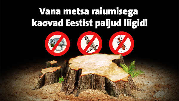 Eesti metsa majandamine tuleb suunata säästvale rajale ja muuta avalikkusele arusaadavaks