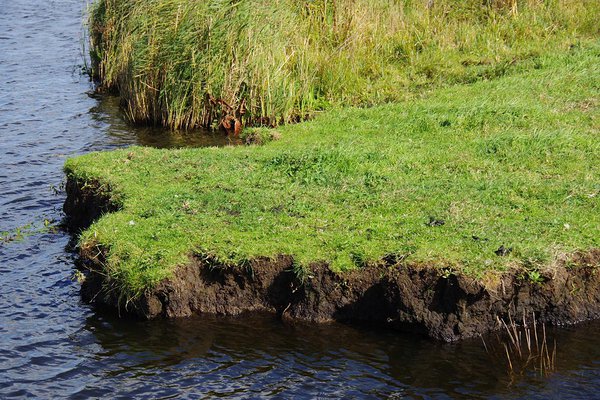 Näide Hollandist, kuidas turbamaadele ja endistesse soodesse kaevatud kanalite ääres toimub turba erosioon. Ala kasutatakse rohumaana. Foto: Marko Kohv