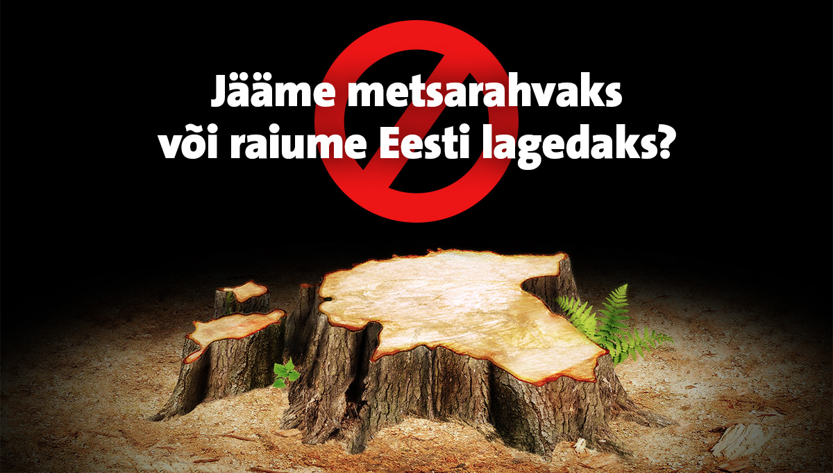 Keskkonnaühendused nõuavad tasakaalustatud metsapoliitikat
