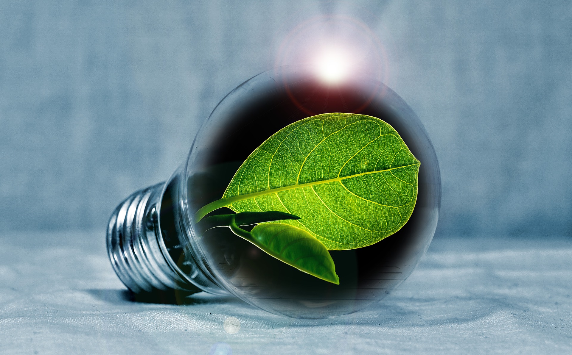 Keskkonnaühenduste energeetikavisioon: tulevikus on Eesti energeetika märksõnad hajutatus, kogukondlikkus ja säästlikkus