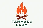 tammaru-farm-logo.png Tammaru Farm logo – orange flame and brown logs, high‑quality dry firewood.