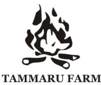 Ферма Таммару - костер
