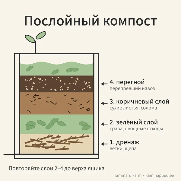 Схема послойного компоста: дренаж из веток, зелёный слой, коричневый слой и перепревший коровий навоз (перегной)