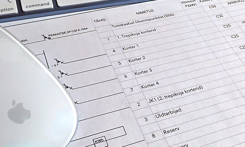 Kidukorraldus ja audit