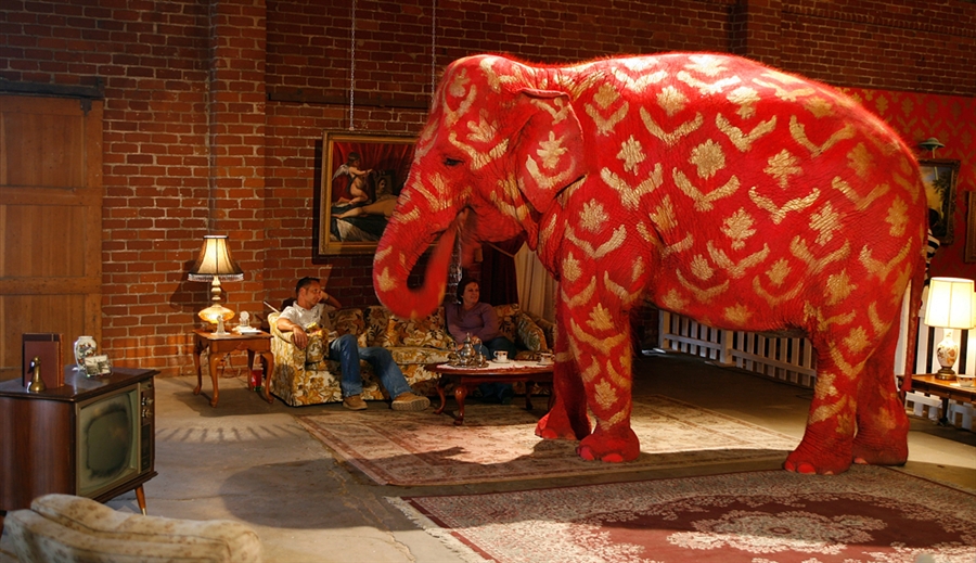 Let S Talk About The Pink Elephant In The Room Why