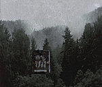 Õhtuti metsas, 1999