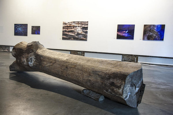 Näitusevaade, VAAL Galerii, oktoober 2015