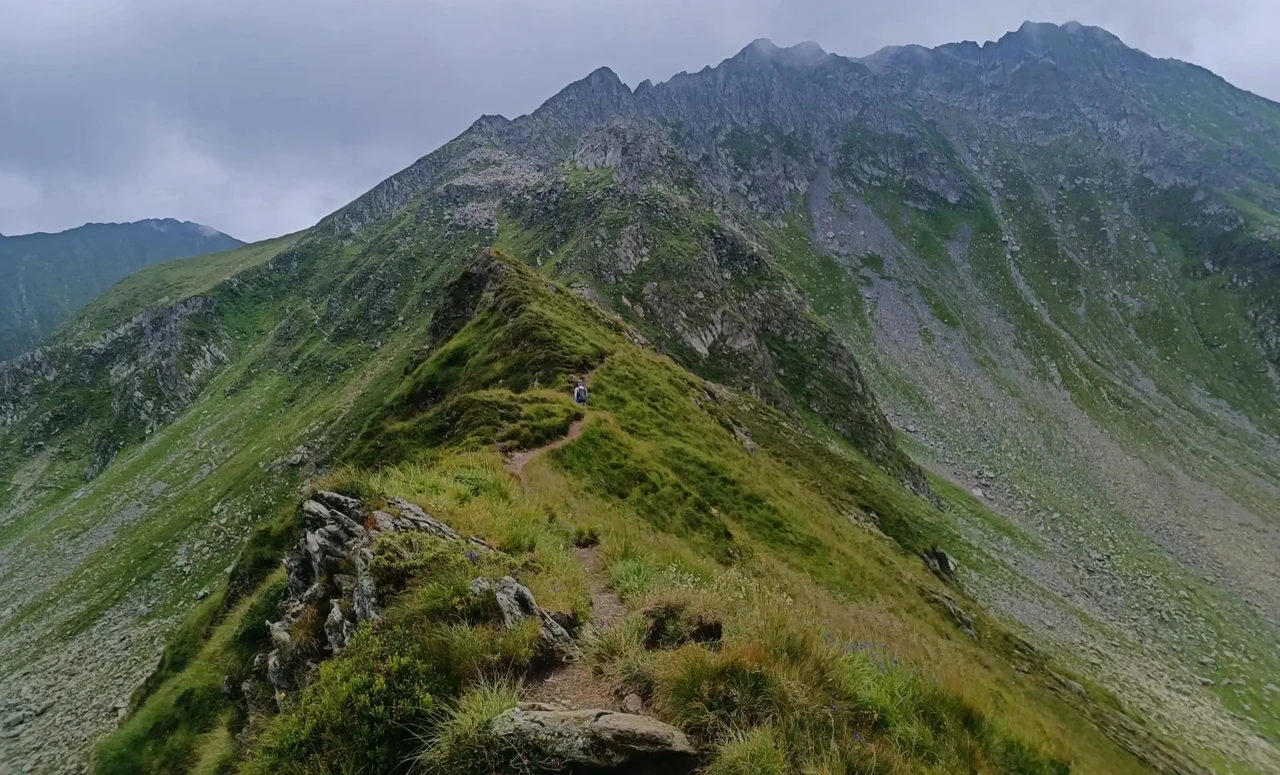 Avaleht – Libahundi Jälg