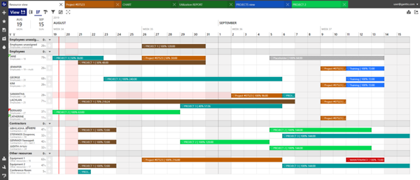 Gantt Chart as a Project Plan. Is It Enough? - Ganttic