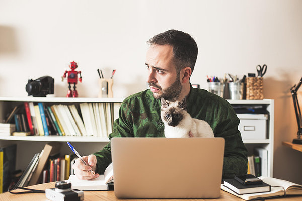 office worker with a cat