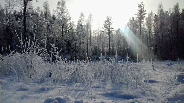 lõuna-eesti lumine maastik